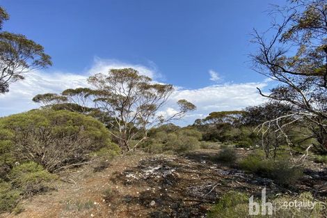 149 Jackson Rd, Ettrick, SA 5253