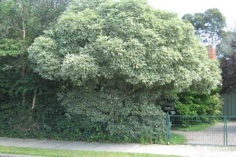 54 Derrimut St, Albion, VIC 3020