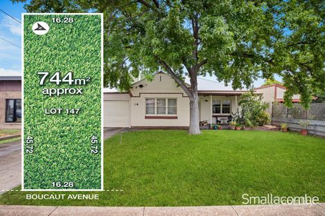 Property photo of 49 Boucaut Avenue Klemzig SA 5087