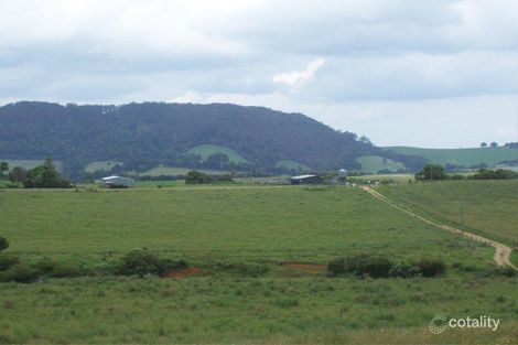 3687 Wingham Rd, Comboyne, NSW 2429