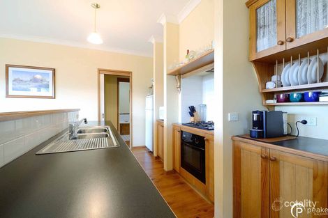 Property photo of 19 Allardice Parade Berwick VIC 3806