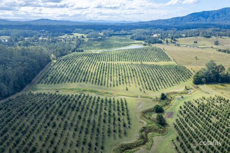 412 South Bank Rd, Tamban, NSW 2441