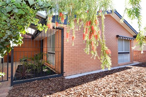 Property photo of 21 Euneva Drive Mildura VIC 3500
