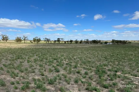 4910 Mallee Hwy, Peake, SA 5301