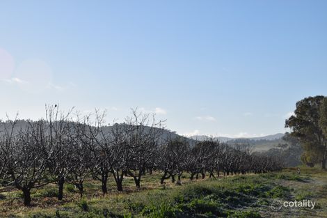 Property photo of 176 Lowrie Drive Apsley NSW 2820