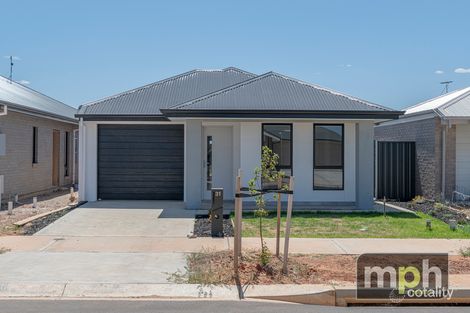 31 Kipfler St, Munno Para, SA 5115