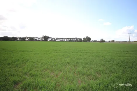 556 Lowe Rd, Rochester, VIC 3561