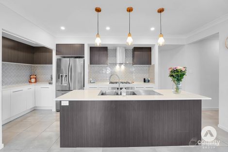 Property photo of 53 Buxton Avenue Yarrabilba QLD 4207