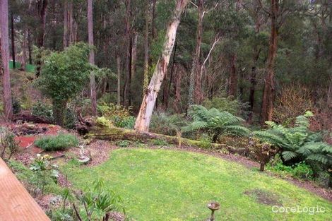 Property photo of 11 Lyrebird Avenue East Warburton VIC 3799