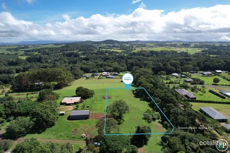 205 Davies Rd, Malanda, QLD 4885