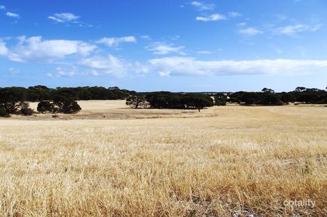 254 Reo Rd, The Pines, SA 5577