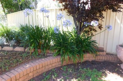 Property photo of 26 Tannabah Street Coonabarabran NSW 2357