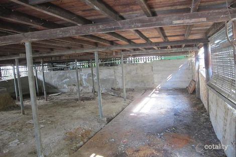 Property photo of 49 Brisbane Street Annerley QLD 4103