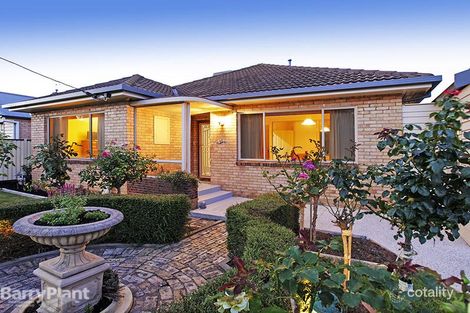 31 Pine Ave, North Shore, VIC 3214