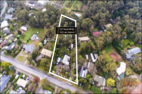 Property photo of 127 David Hill Road Monbulk VIC 3793