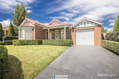 Property photo of 6 Richie Court Drouin VIC 3818