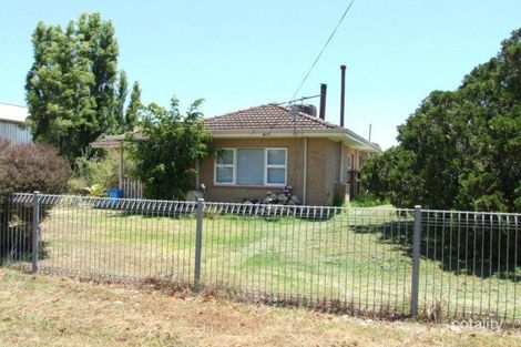 59 Collins St, Donnybrook, WA 6239