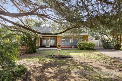 Property photo of 10 Lochness Avenue Torrens Park SA 5062