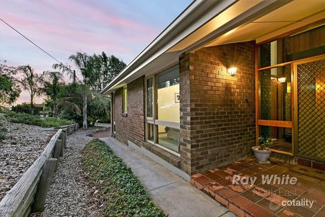 Property photo of 31 Wattle Crescent Tea Tree Gully SA 5091
