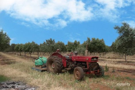 Lot 488 Pinery Rd, Owen, SA 5460