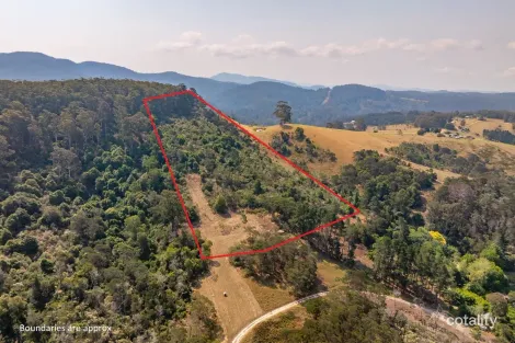 210 Ruggs Rd, Nethercote, NSW 2549