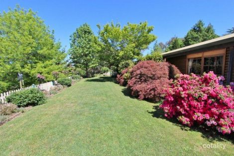 317 Buttercup Rd, Merrijig, VIC 3723