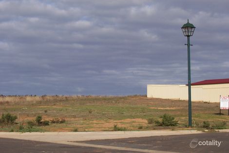 2 Ariel Way, Mannum, SA 5238