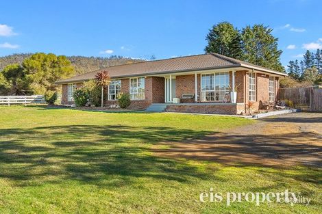 Property photo of 7 Saxon Drive Acton Park TAS 7170