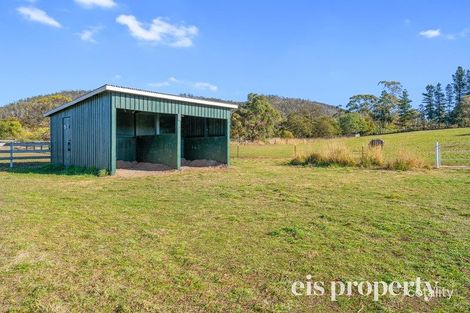 Property photo of 7 Saxon Drive Acton Park TAS 7170