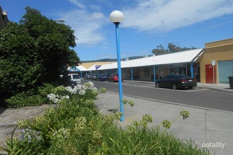 Property photo of 143 Point Nepean Road Dromana VIC 3936