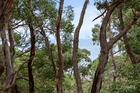 Property photo of 68 George Street Lorne VIC 3232