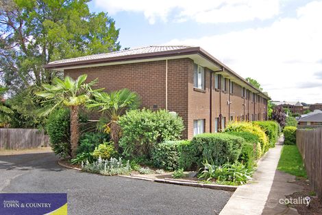 3/147 Brown St, Armidale, NSW 2350