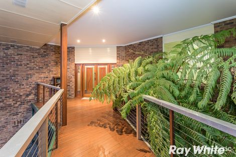 Property photo of 981 Winn Road Mount Samson QLD 4520