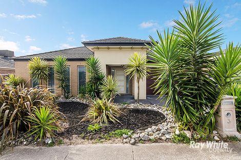 Property photo of 3 Carinya Court Cranbourne North VIC 3977