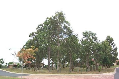 11 Lilly St, Springfield, QLD 4300