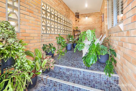 Property photo of 46 Gaffel Street Svensson Heights QLD 4670