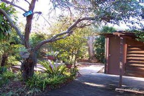 Property photo of 259 Adina Avenue Bilinga QLD 4225