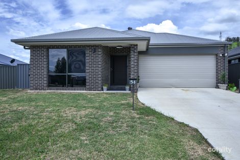 Property photo of 54 Hastings Avenue Plainland QLD 4341