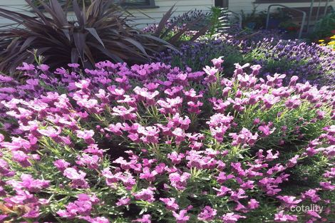 19 Higham St, Maryborough, VIC 3465