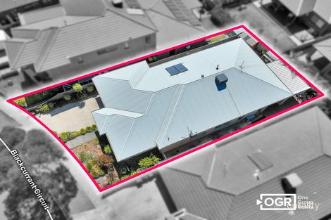 Property photo of 18 Blackcurrant Circuit Mernda VIC 3754