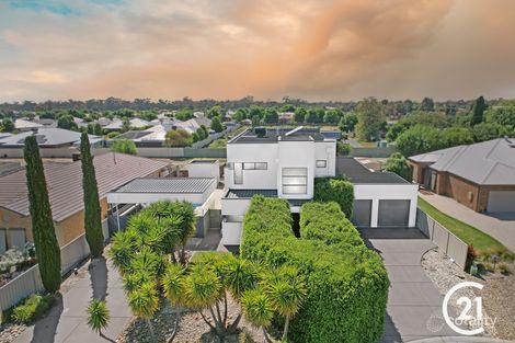 Property photo of 11 Aviemore Court Moama NSW 2731