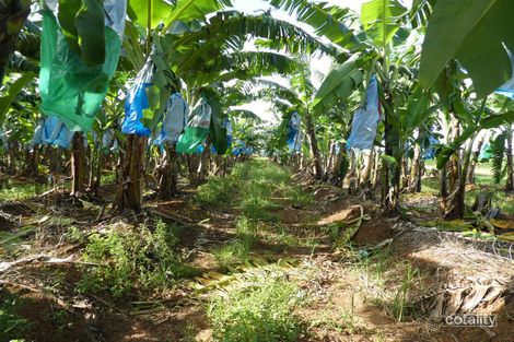 2/303 South Johnstone Rd, Boogan, QLD 4871