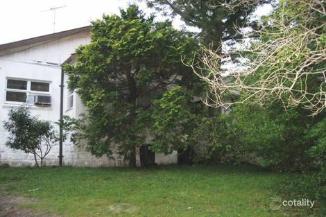 Property photo of 31 Warren Road Bellevue Hill NSW 2023