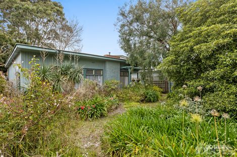 Property photo of 103 Pellatt Street Beaumaris VIC 3193