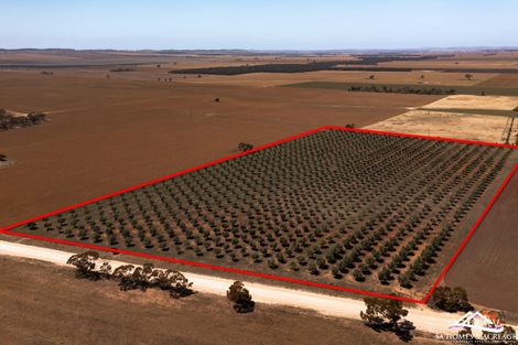 147 Hills Rd, Robertstown, SA 5381