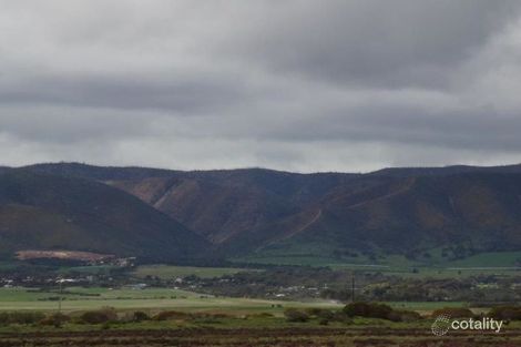 57 First St, Napperby, SA 5540