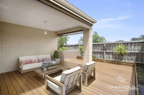 Property photo of 8 Bimberry Circuit Clyde VIC 3978