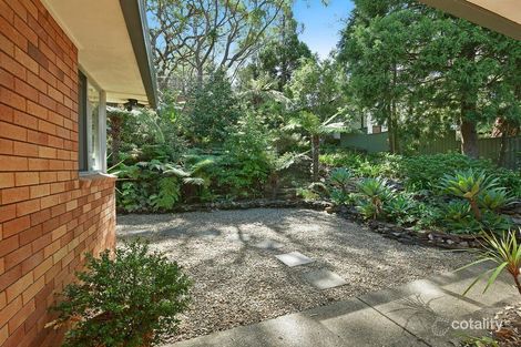 Property photo of 11 Perry Avenue Springwood NSW 2777