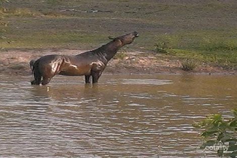 Property photo of 414 Glenbar Road Woocoo QLD 4620