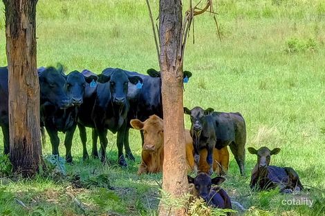 Property photo of 8 Pacific Highway Failford NSW 2430